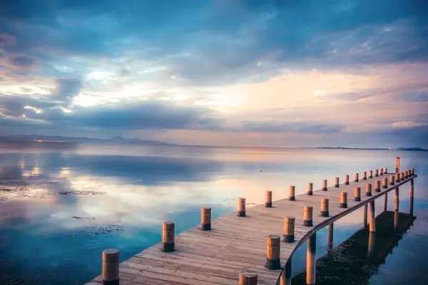 龙虾潮汕做法美食天下